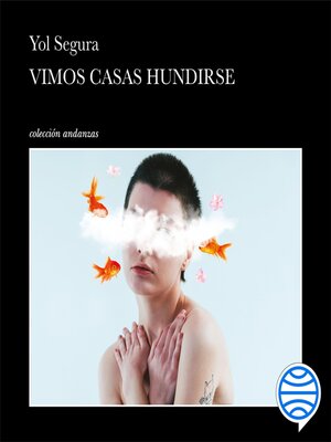 cover image of Vimos casas hundirse